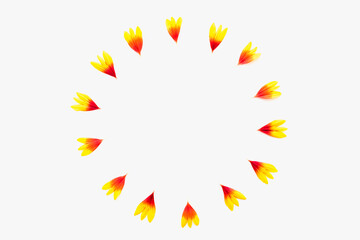 abstract colorful circle, colored petals on a white background, yellow petals on a white background, a circle of petals