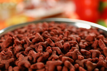 Tasty pet food, close up and selective food