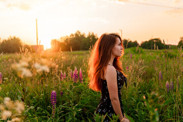 A young woman romantically walks through a field of lupines at sunset