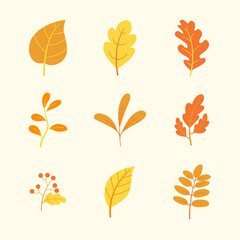 Colorful autumn leaves flat design  set isolated
