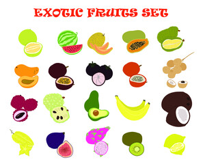 Big set of vector exotic fruits isolated. Summer fruits on white background