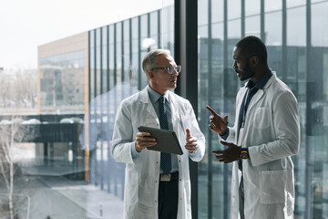 Waist up portrait of two doctors talking while standing by window in conference room, copy space