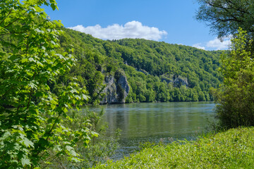 Im Sommer an der schhönen Donau: Blick von einem grün bewachsenen Ufer auf die andere Seite