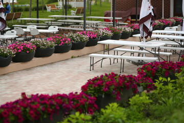 Fototapeta na wymiar Empty spring cafe terrace in the park, decorated with pots of petunia flowers