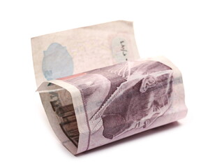 Ten Egyptian Pounds banknote, paper money bill isolated on white background
