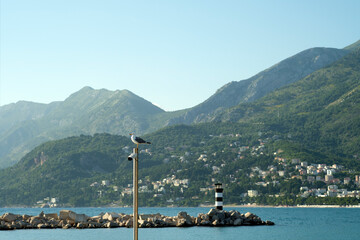 Seagull is sitting on a pole against the background of mountains covered with greenery, the sea and a lighthouse in the marina of a small Mediterranean coastal town
