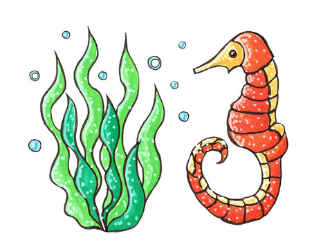 Illustration with a seahorse and seaweed. Decorative stylization, hand-drawn with markers on a white background.