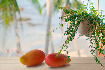 Morning still life on the windowsill.  Mango on the windowsill against the background of the Gulf of Thailand. View of the beach of Phu Quoc Island from the hotel window.