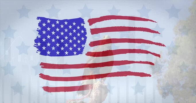 American flag design pattern and multiple star against eagle sitting on a branch