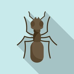 Insect ant icon, flat style