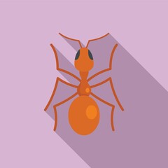 Queen ant icon, flat style