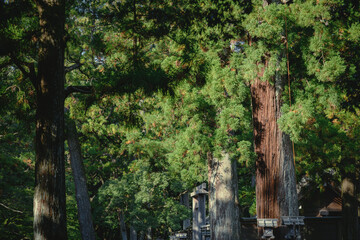 伊勢外宮 境内風景