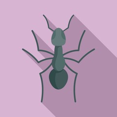 Teamwork ant icon, flat style