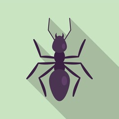 Nature ant icon, flat style