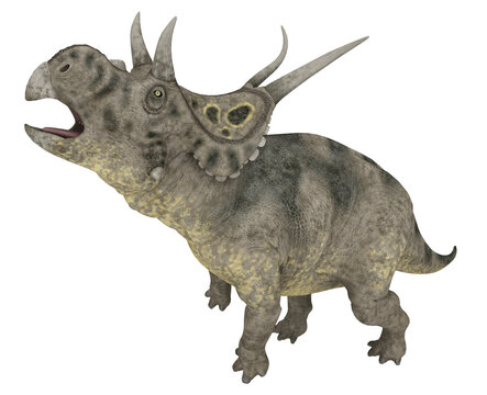 Dinosaurier Diabloceratops, Freisteller