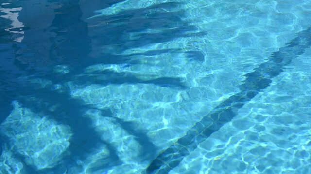 Pure blue water in pool with shadow of palm tree