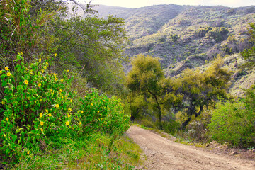 Fototapeta na wymiar Hiking the Franklin trail in Carpinteria California