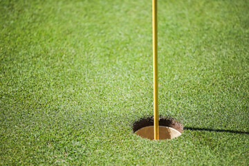 Flag in a golf hole on the background of green grass and golf balls. Golfing, golf club. 