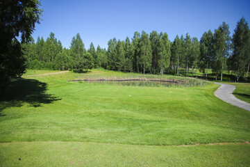 Green field against the background of forest and a blue sky.