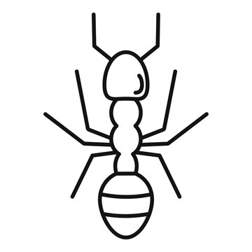 Farmer ant icon, outline style