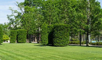 Wonderful landscape view with trimmed trees and formed shrubs, green lawn in city park "Krasnodar" or "Galitsky Park" in sunny spring day.