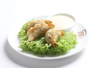 deep fried crispy meat dumpling wanton har gao dim sum menu serve with tartar salad sauce