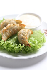 deep fried crispy meat dumpling wanton har gao dim sum menu serve with tartar salad sauce