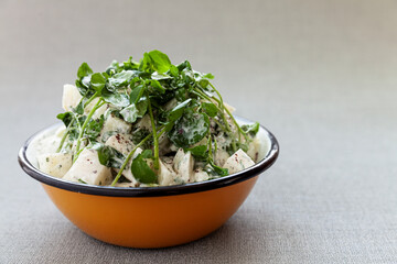 Kohlrabi salad with yoghurt and watercress and sumac spice in bowl. Mediterranean cuisine.