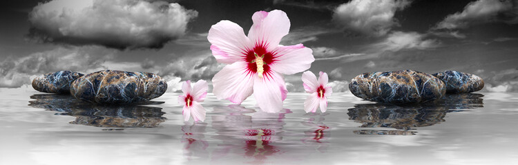 Hibiscus and colorful marble stones reflective on water