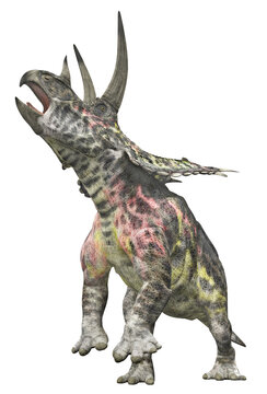 Dinosaurier Pentaceratops, Freisteller