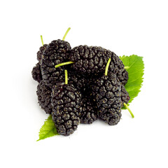 mulberry berry with leaves isolated on white background.