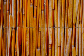 Close-up on a bamboo fence in the park.