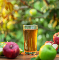 Fresh apple juice and apples on wooden table in the summer orchard garden.