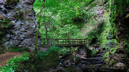 Fototapeta premium Big Burn waterfall walk through Dunrobin wood in Golspie in the Highlands