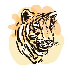 Sketch portrait of a tiger. Hand drawn color illustration. Wild animal drawing.