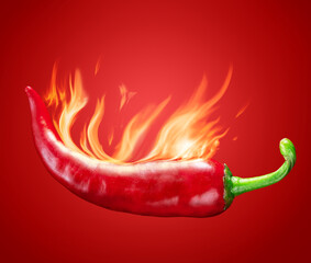 Fresh red chilli pepper in fire as a symbol of burning feeling of spicy food and spices at red background.