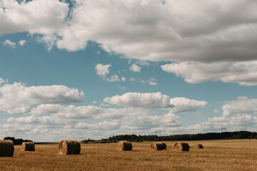 Field landscape with haystacks and blue sky.