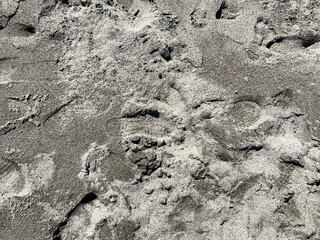 sand texture background.