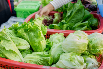 fresh vegetables  in a plastic basket