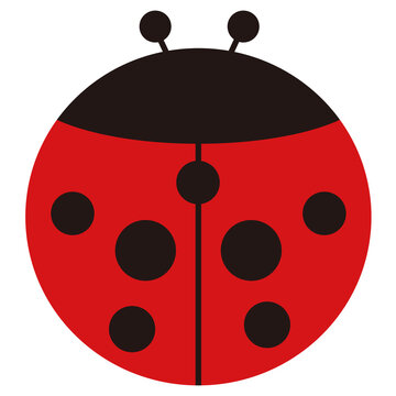 てんとうむし Images Browse 7 Stock Photos Vectors And Video Adobe Stock