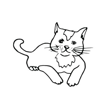 Hand drawn line art.Doodle cat lies.Pet.