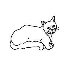 Pet.Line art doodle cat lies.Hand drawn doodle.