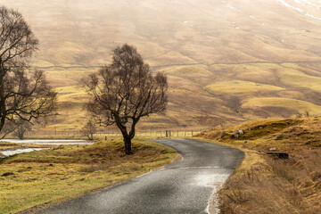 Stunning panorama, view of Scottish landscape, Highlands, Scotland