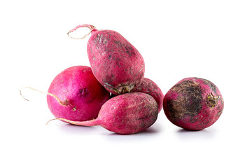 bad radish. damaged radish substandard. spoiled radish afflicted with illness. dark stain on...