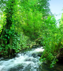 Beautiful forest waterfall. Travel around Belarus. 