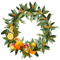 Round wreath of orange branches. Vector wreath for lemonade labels, summer designs, summer cafes, summer menus, banner ad