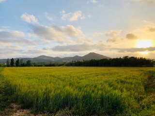 Fototapeta premium Sant Feliu de Llobregat 