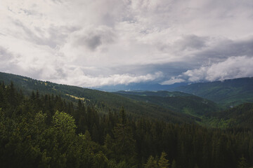 Cloudy rainy day in the mountains. Ukrainian Carpathian mountains.