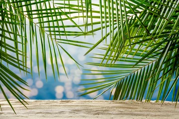 Poster Zomerachtergrond van zand met groene palmen en zeelandschap © magdal3na