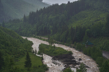 Fototapeta na wymiar River in the mountains. Coniferous forest. Ukrainian Carpathian mountains.